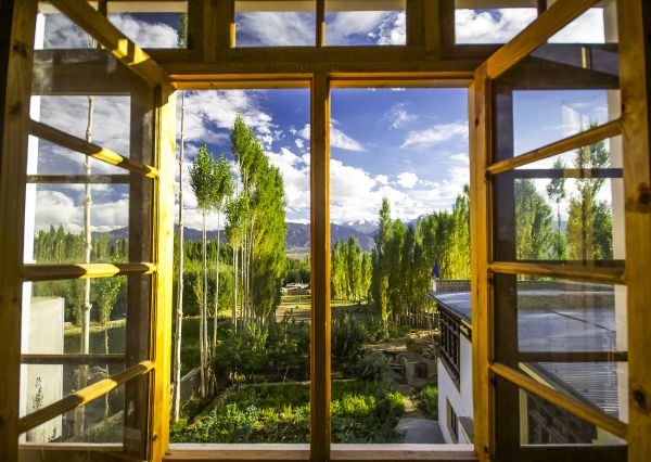 Wood Window Replacement in Labelle