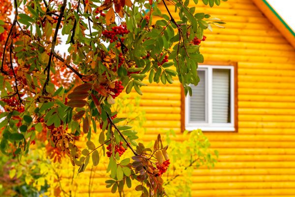 Garden Window Replacement in Labelle